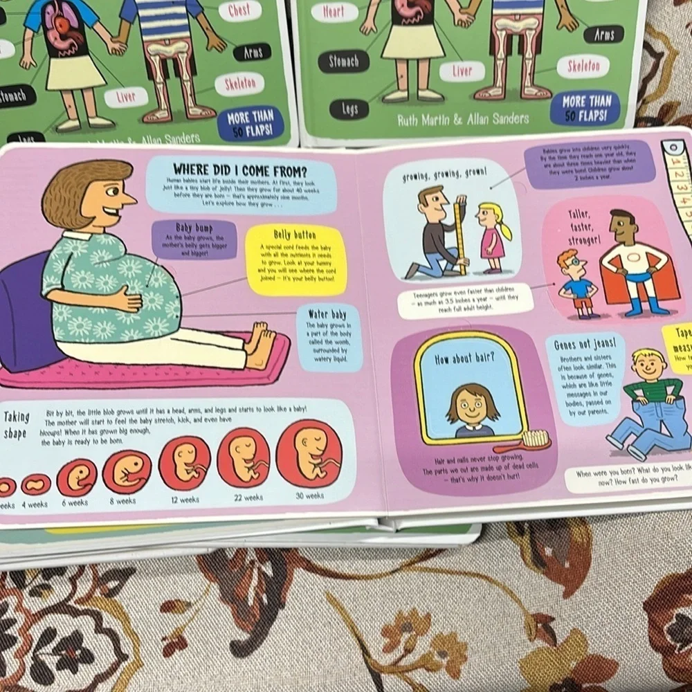 Little Explorers: My Amazing Body bundles 5 Hardcover book